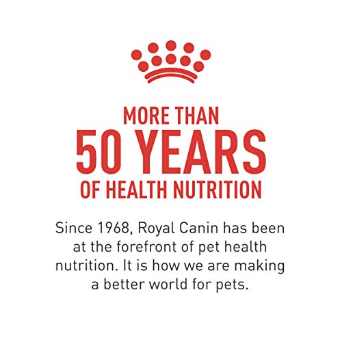 Dieta para perros adultos Royal Canin Cardíaca Temprana, fácil de servir