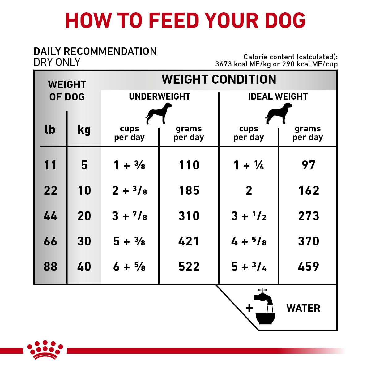 Nutrientes Taurina, Carnitina y Arginina en Royal Canin Cardíaca Temprana