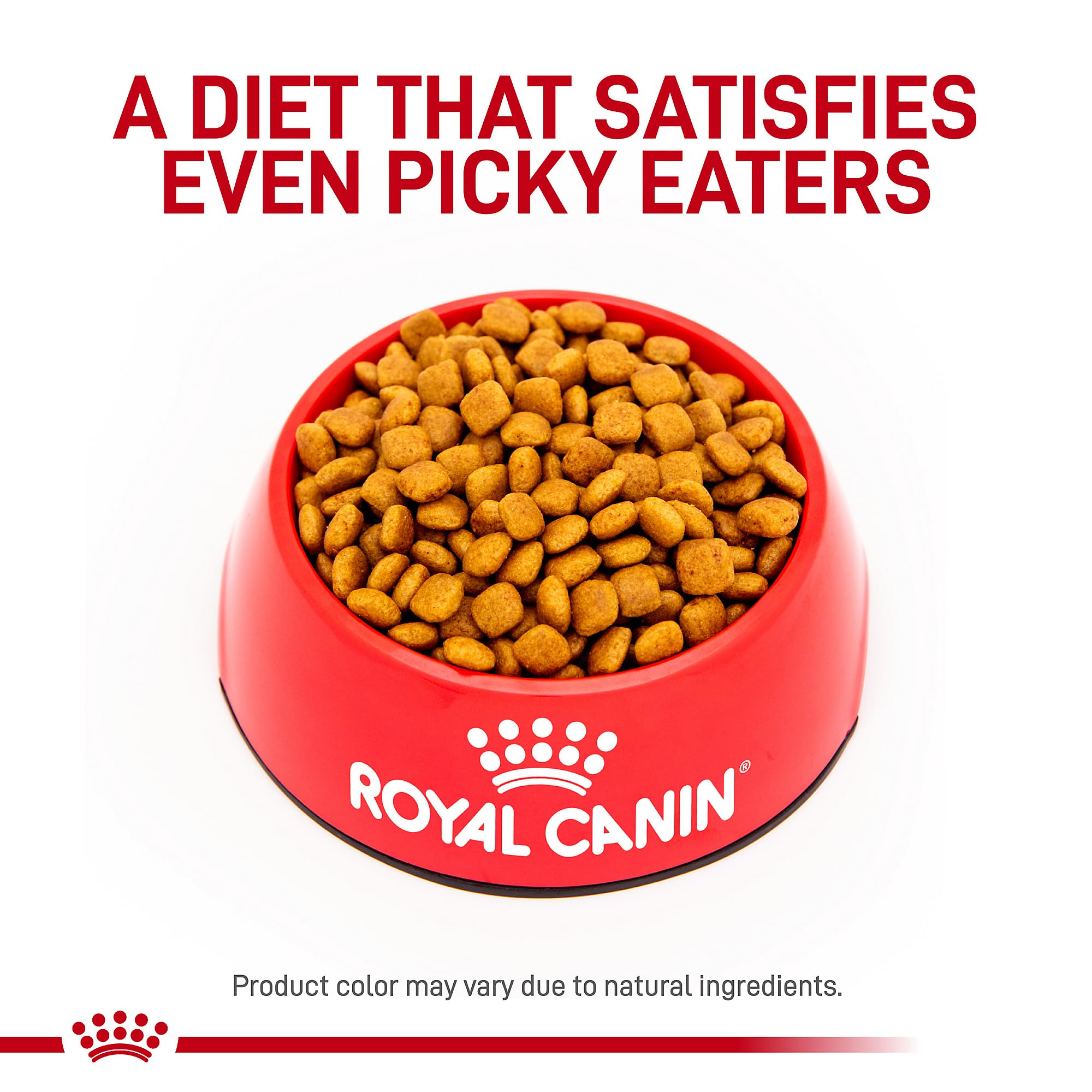Croquetas crujientes para perros adultos, Royal Canin Cardíaca Temprana