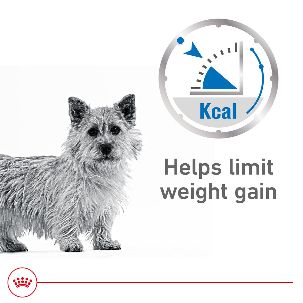 Royal Canin Weight Care, control de peso: equilibrio en la dieta de adultos.