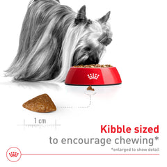 Nutrición para corazones de perros mayores: ingredientes clave de Royal Canin X-Small Aging 12+.