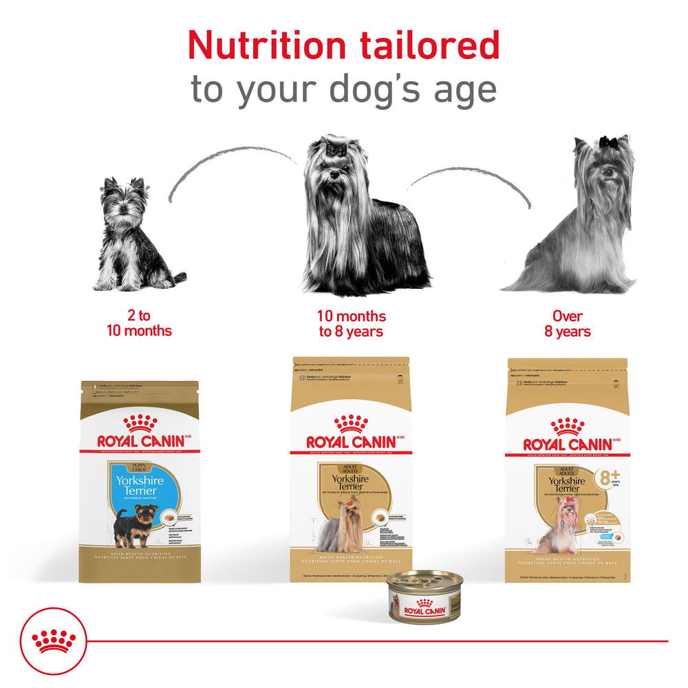 Royal Canin Yorkshire Terrier 8+ pelaje brillante gracias a omega-3 y biotina