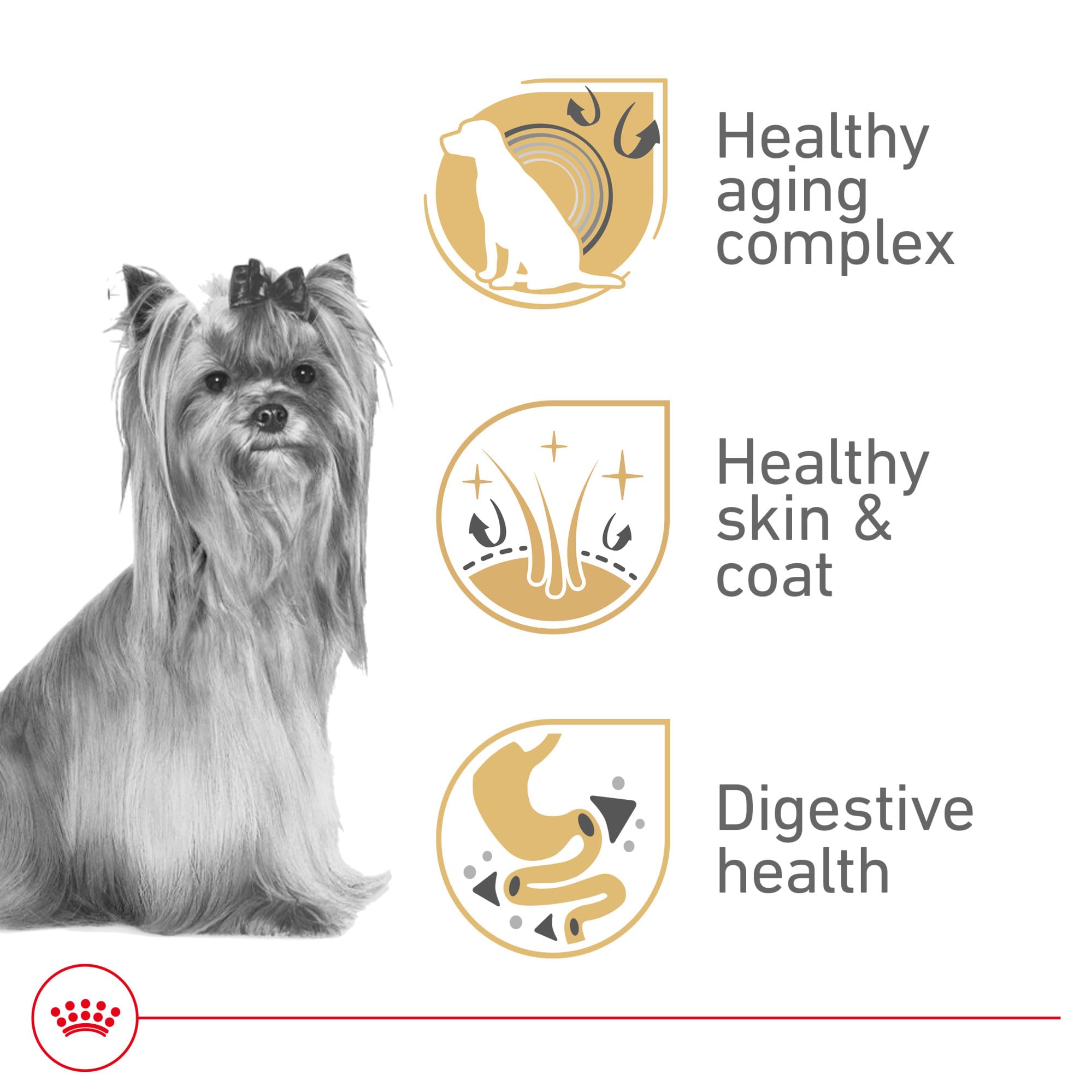 Royal Canin Yorkshire Terrier 8+ tazón de comida facilita la alimentación diaria