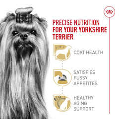 Royal Canin Yorkshire Terrier Adult Dry: primer plano de croqueta para cuidado dental suave.