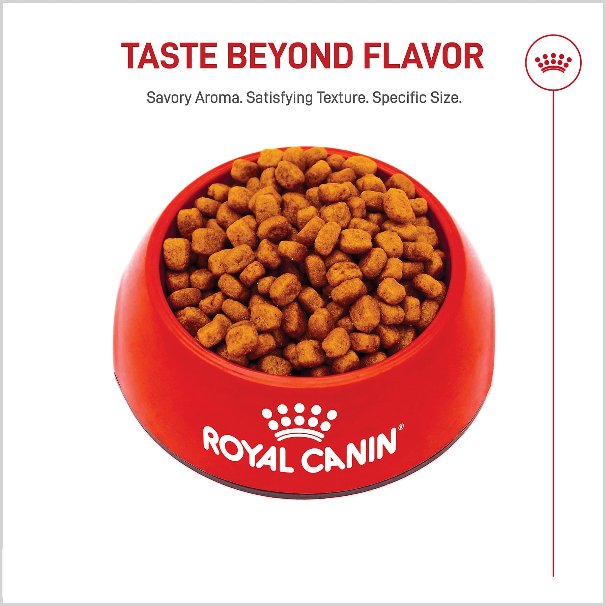 Royal Canin Yorkshire Terrier Adult Dry: croqueta crujiente que favorece la masticación.