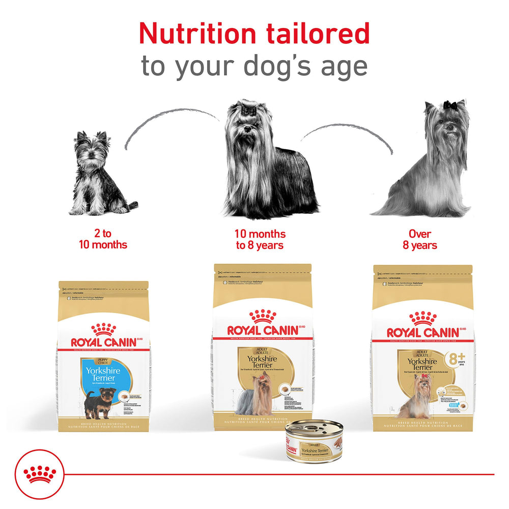 Royal Canin Yorkshire Terrier adulto paté en salsa complemento ideal con croquetas secas