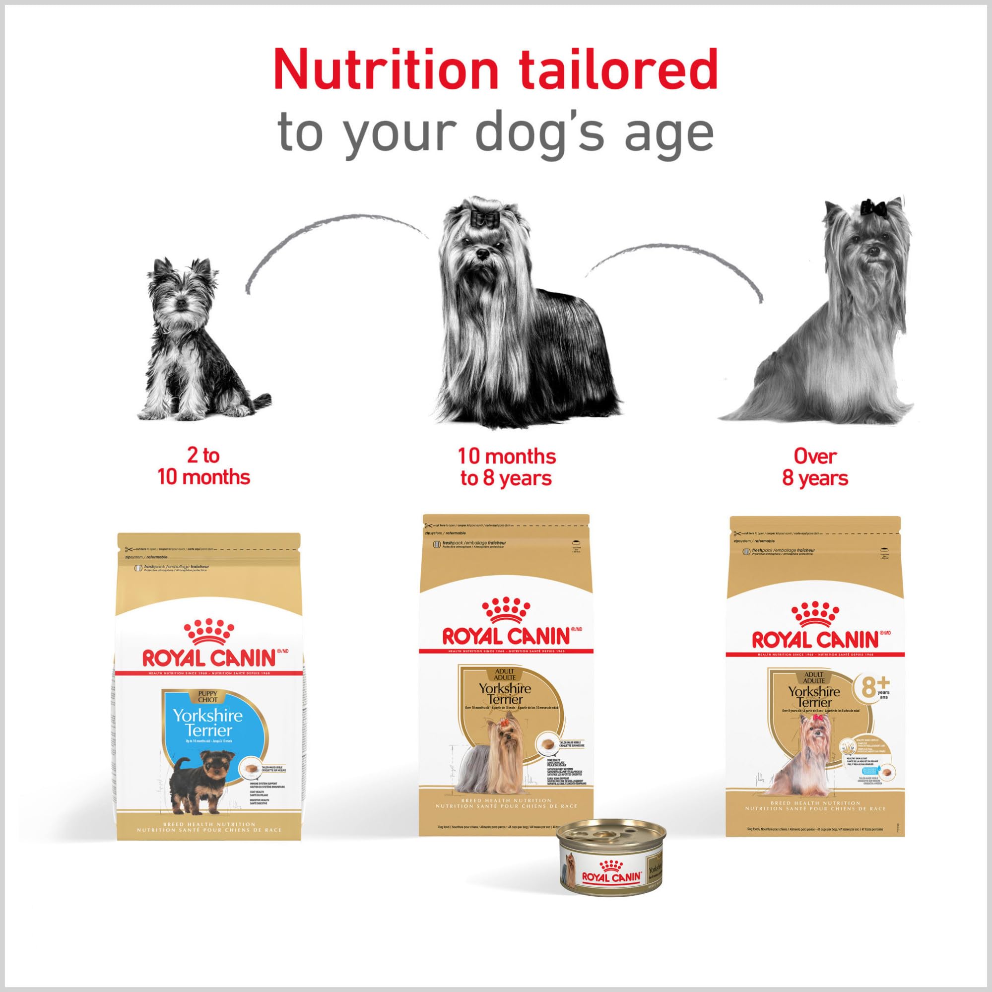 Royal Canin Yorkshire Terrier Adulto: bolsa de 10 lb para manejo diario.