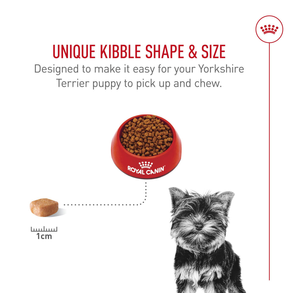 Royal Canin Yorkshire Terrier Puppy, salud digestiva: proteínas de alta calidad y prebióticos para digestión.