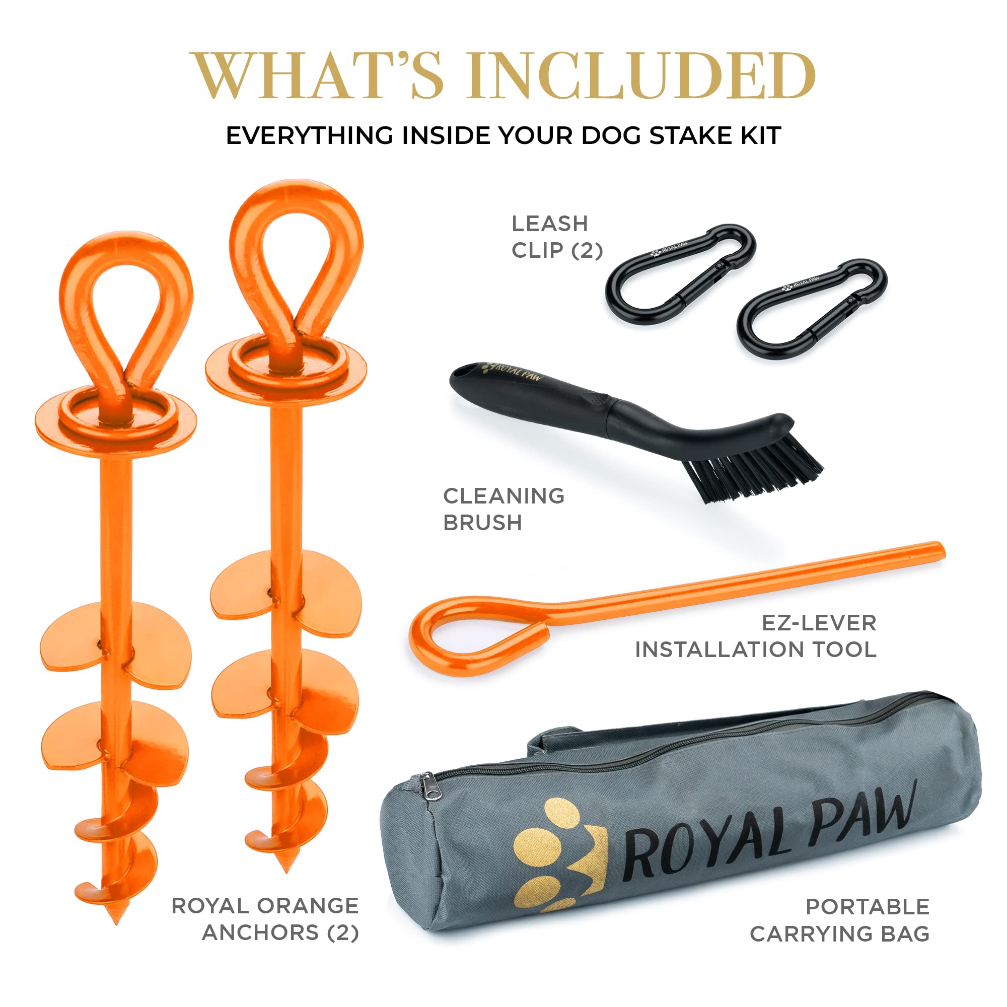 ROYAL PAW estaca para perros grandes en playa mantiene la correa estable en arena.