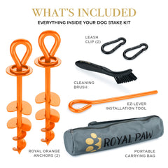 ROYAL PAW estaca para perros grandes en playa mantiene la correa estable en arena.