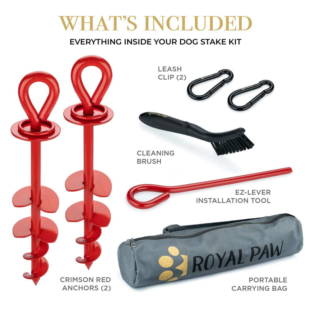 ROYAL PAW estaca para playa, mantiene a tu perro seguro durante paseos junto al agua.