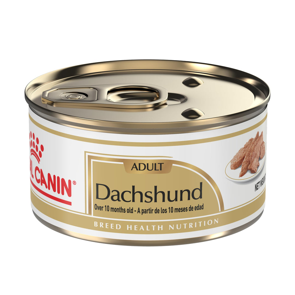Royal Canin Dachshund Adult lata salsa: envase práctico para Dachshund