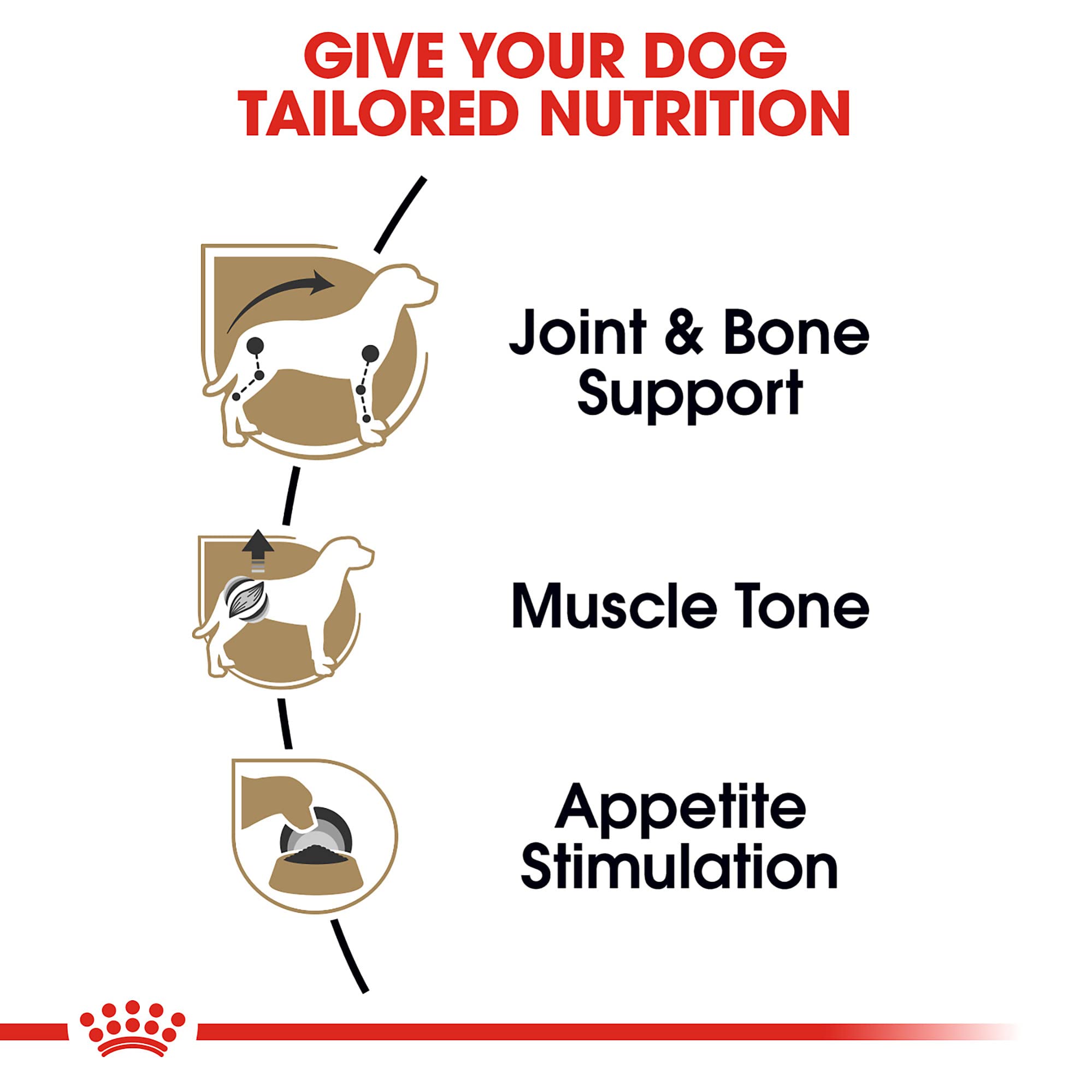 Lata salsa Royal Canin paté sabroso para energía diaria