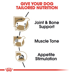 Lata salsa Royal Canin paté sabroso para energía diaria
