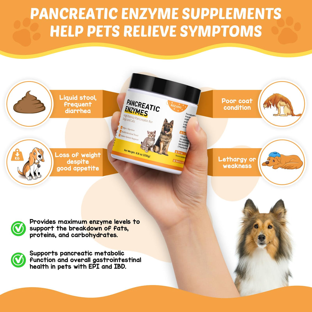 Mezcla con alimento húmedo facilita la digestión diaria de tu mascota.