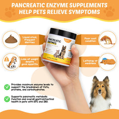 Mezcla con alimento húmedo facilita la digestión diaria de tu mascota.