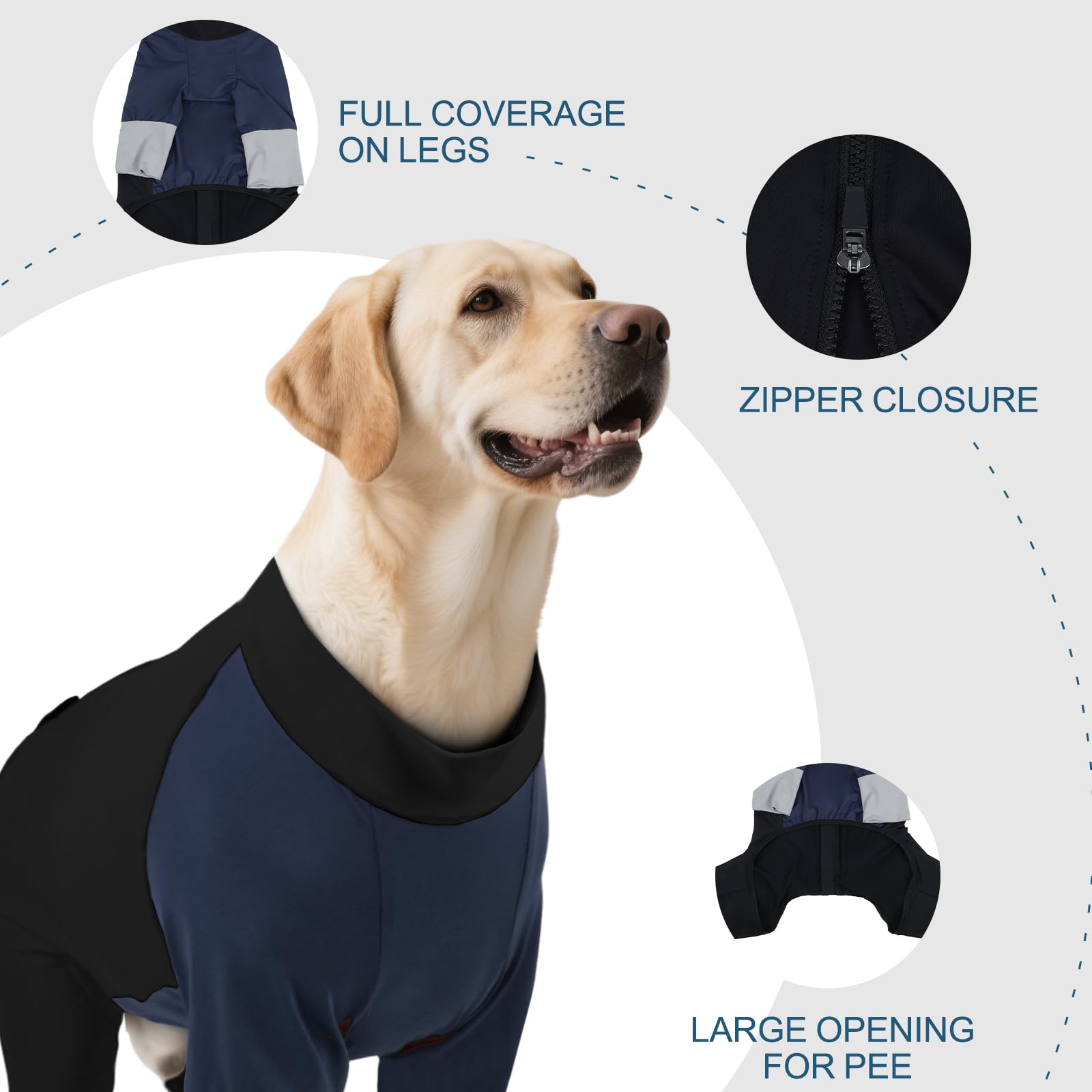 Guía de tallas ROZKITCH para perros grandes facilita elegir correctamente.
