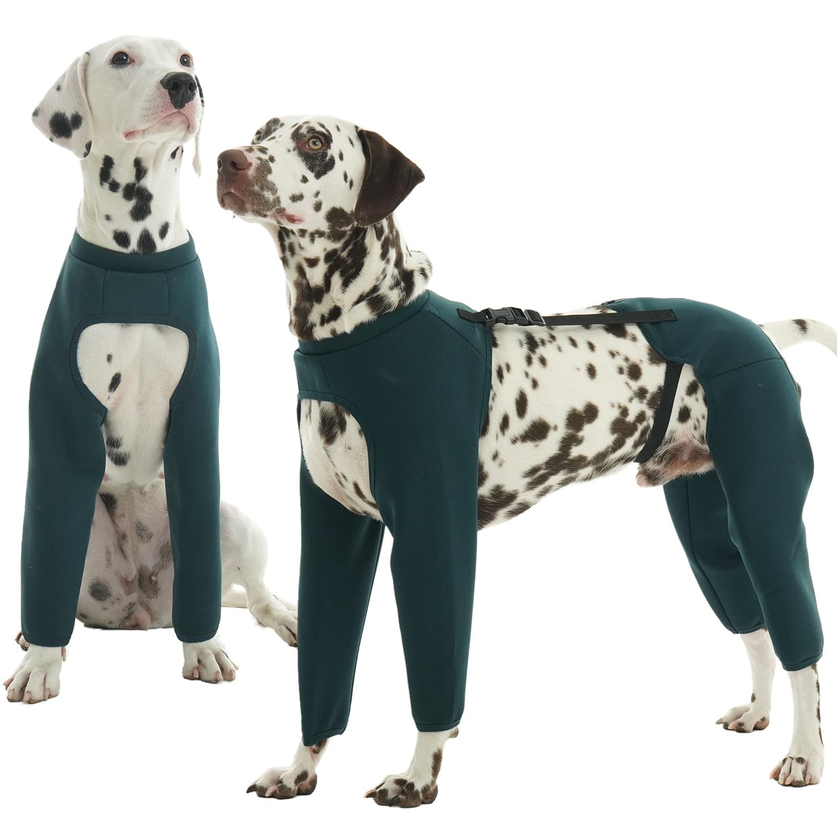 ROZKITCH mangas perro cuatro patas: protección integral para las patas durante juego al aire libre.
