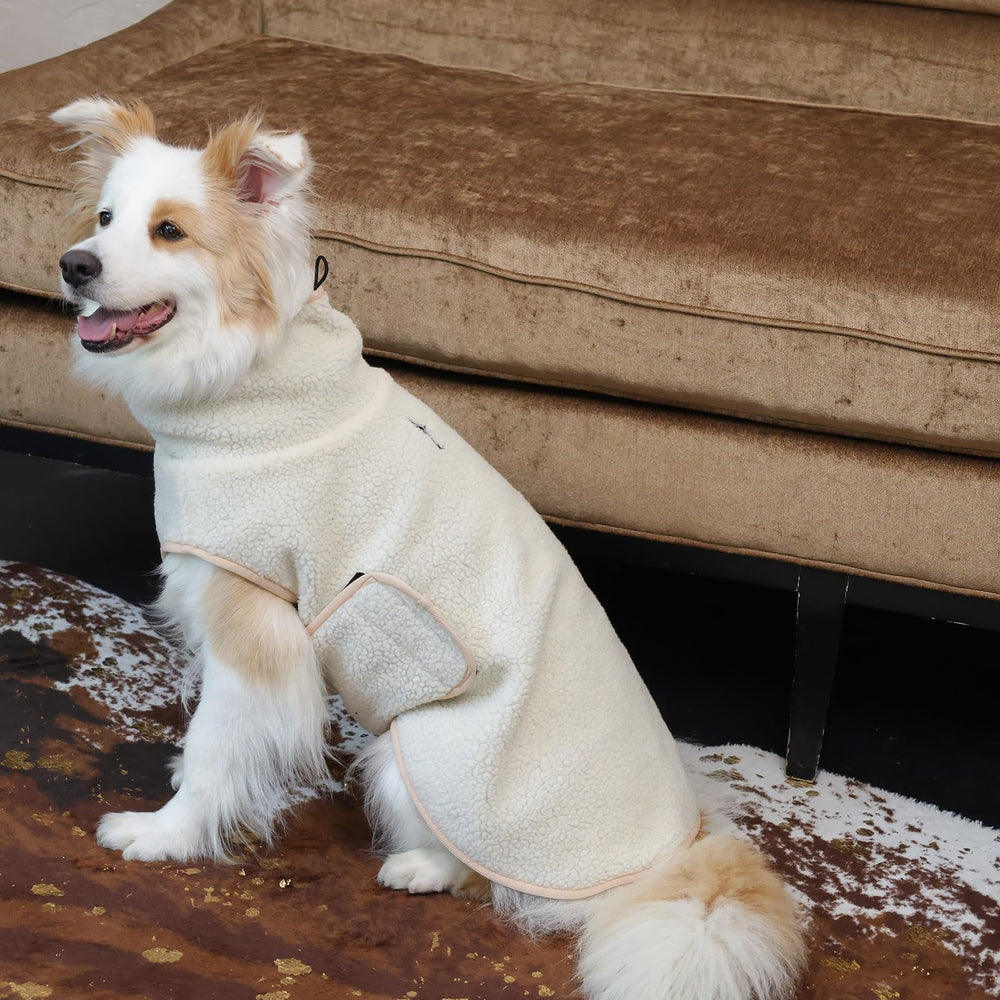 ROZKITCH prenda lavable a máquina para perro grande, uso diario fácil.