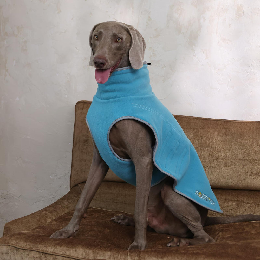 ROZKITCH tallas grandes para perros de gran envergadura, ajuste cómodo.