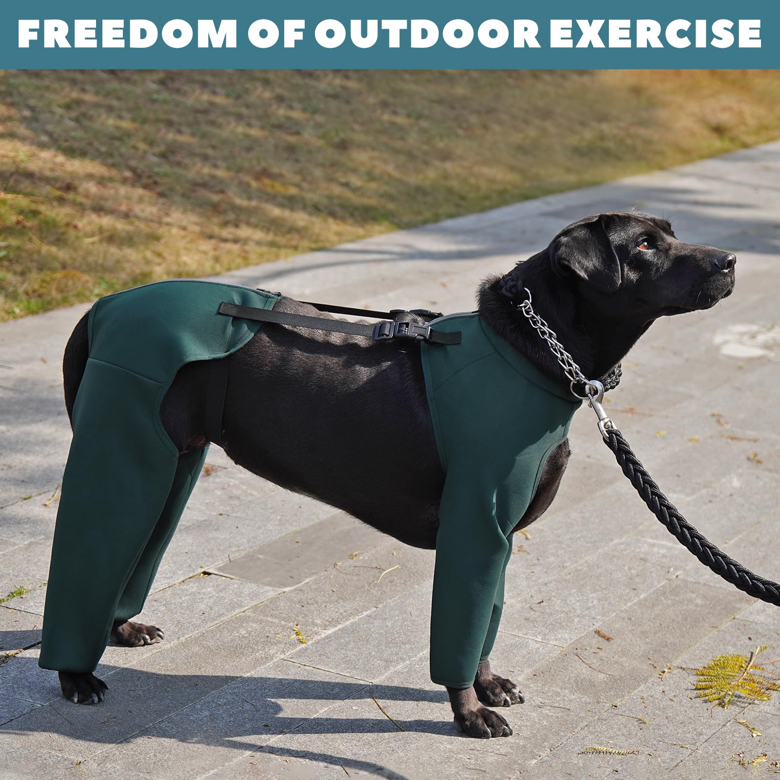 ROZKITCH uso diario exterior: comodidad constante durante paseos y entrenamiento.
