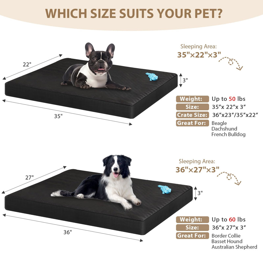 RRPETHOME cama para perro indestructible, uso diario cómodo y duradero.
