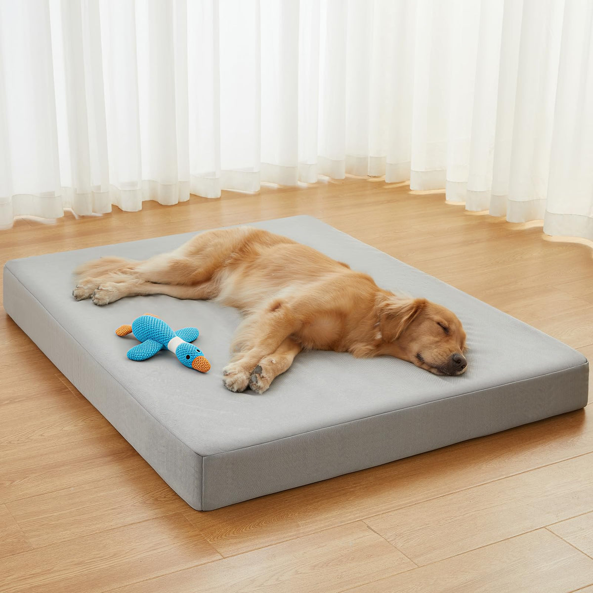 Cama RRPETHOME indestructible de 4 pulgadas para mordedores y descanso cómodo