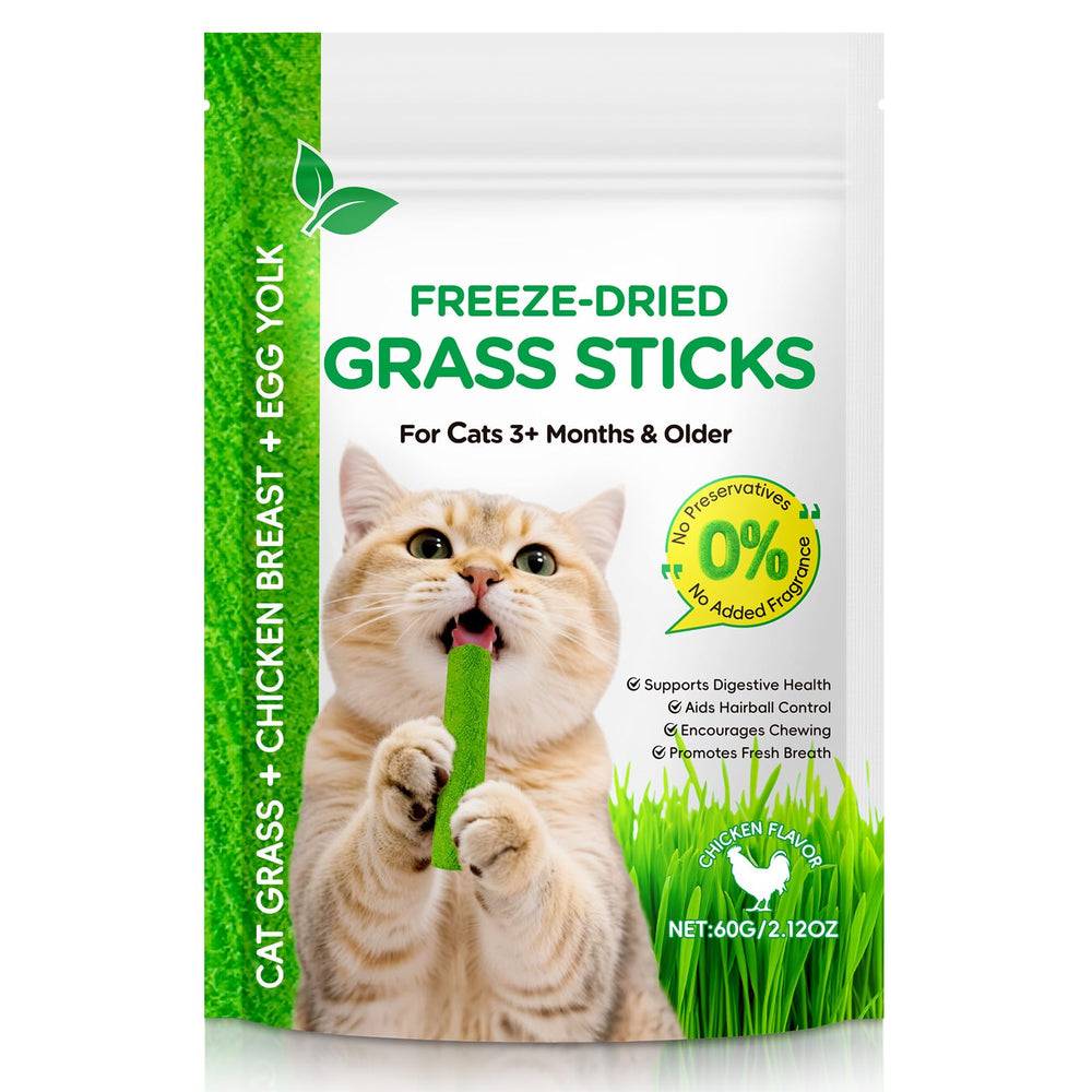 RSGRT palitos de hierba para gatos 60 g, masticables y sabrosos para mimos y juego