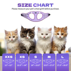 Correa Rttochfy para gato, doble protección y control.