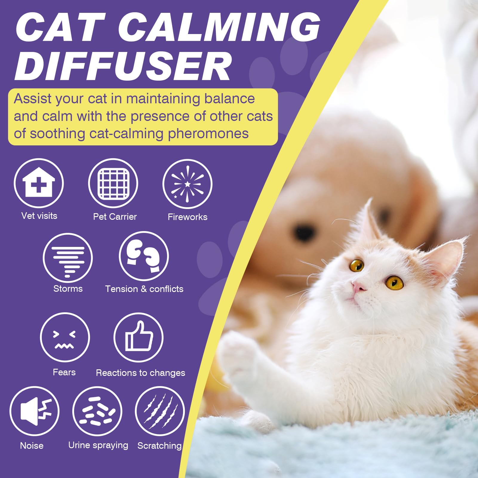 RUAKPL ambiente de sala tranquilo con recargas calmantes para gatos.