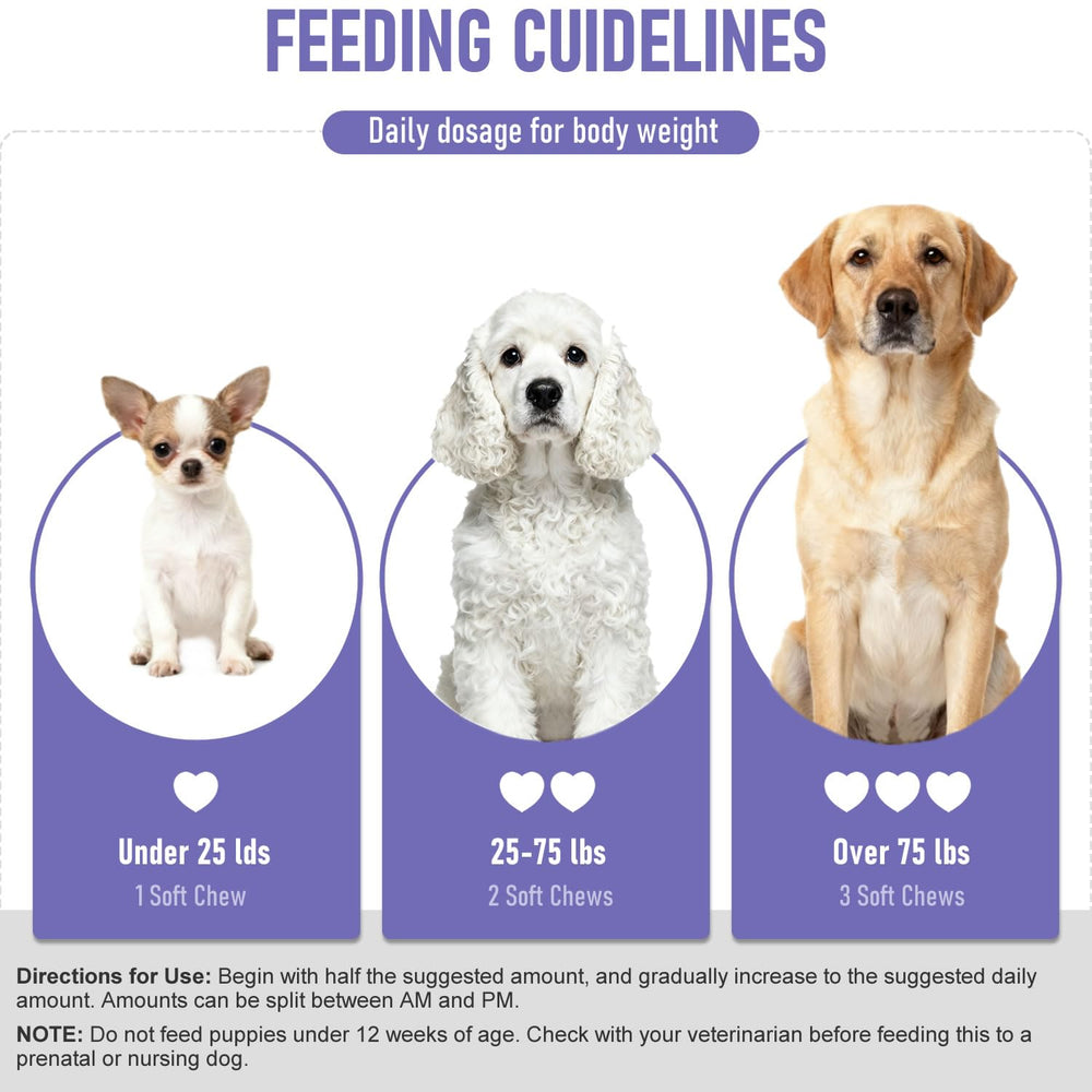 Rudiccs probiótico para perros, enzimas digestivas de alta calidad