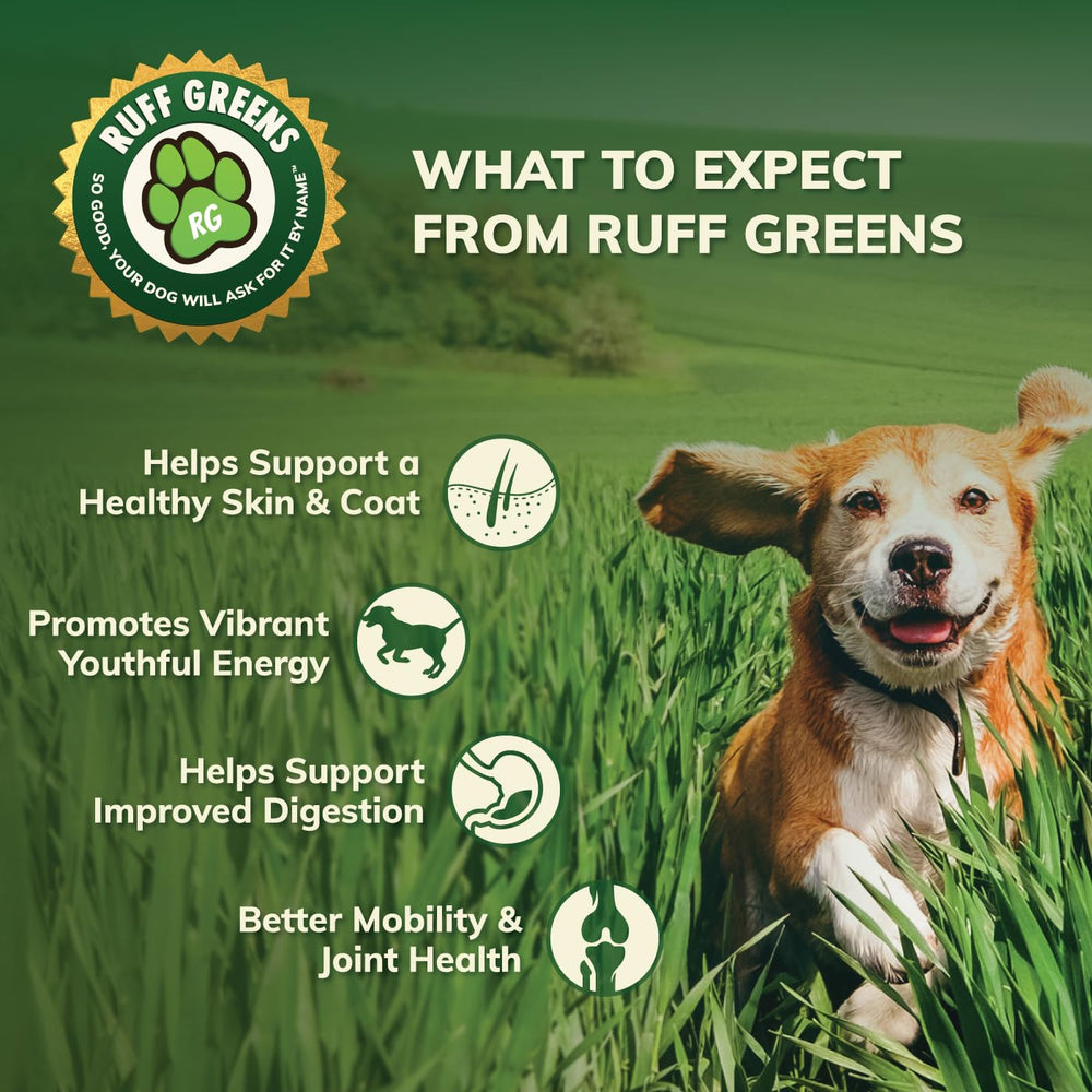 Ruff Greens: apoyo para movilidad en perros senior que mantiene independencia.