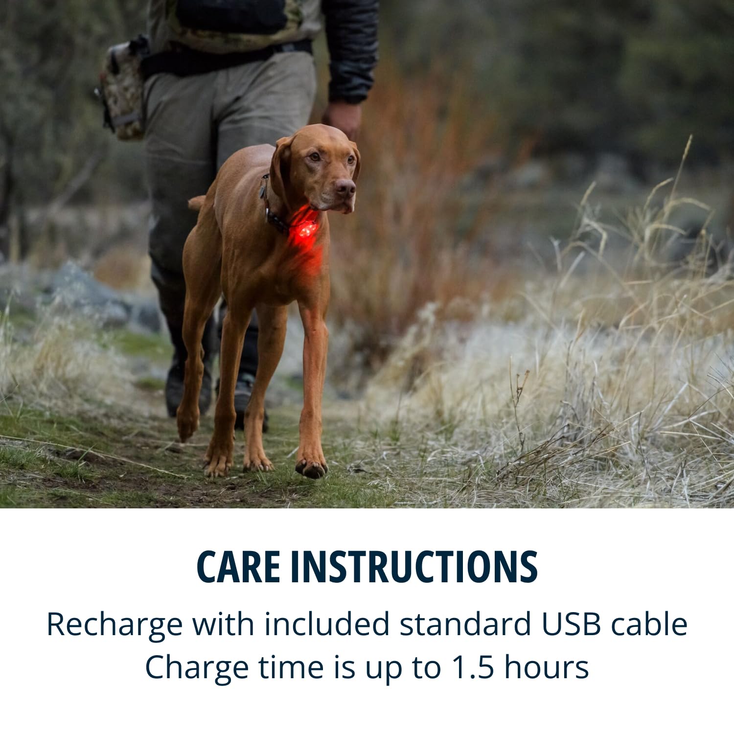 Ruffwear Beacon se engancha rápido a collares con clip rápido.