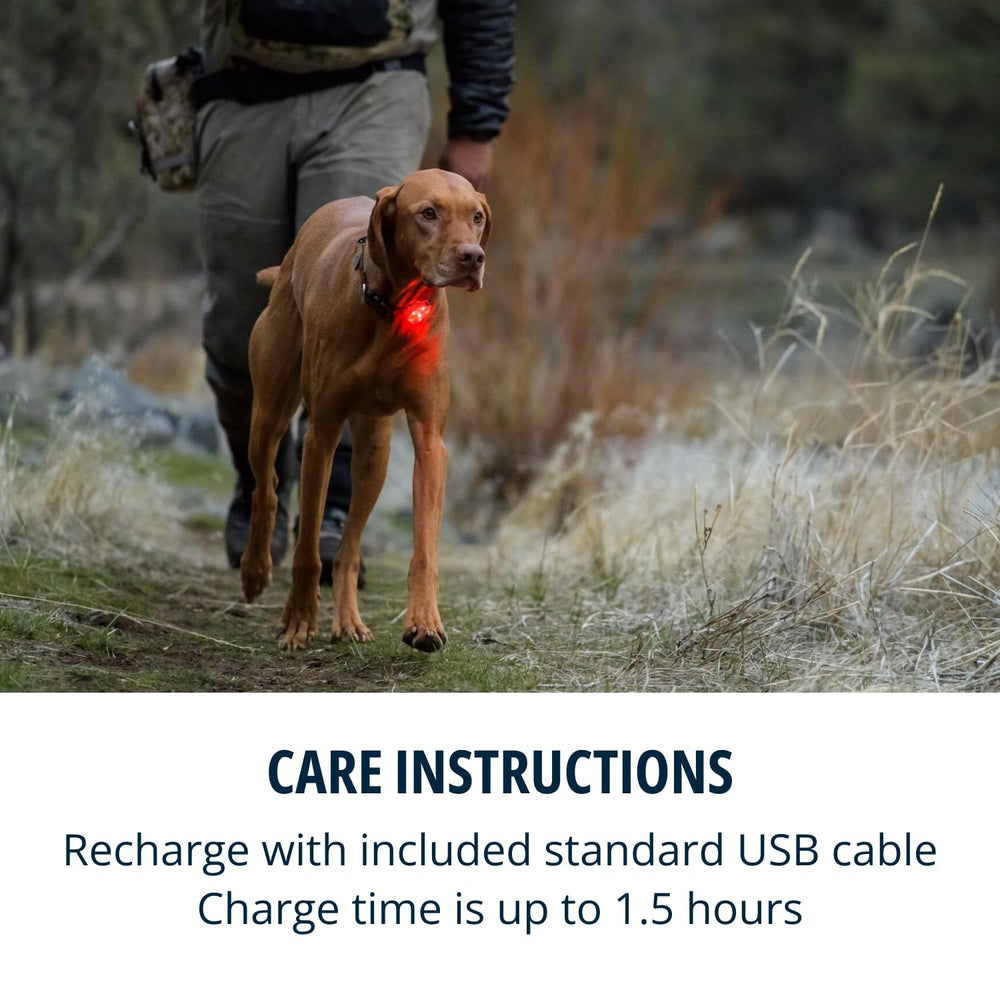 Ruffwear Beacon se engancha rápido a collares con clip rápido.