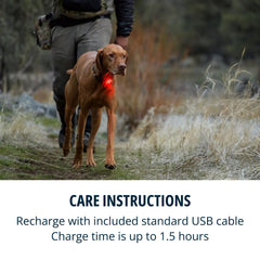 Ruffwear Beacon se engancha rápido a collares con clip rápido.