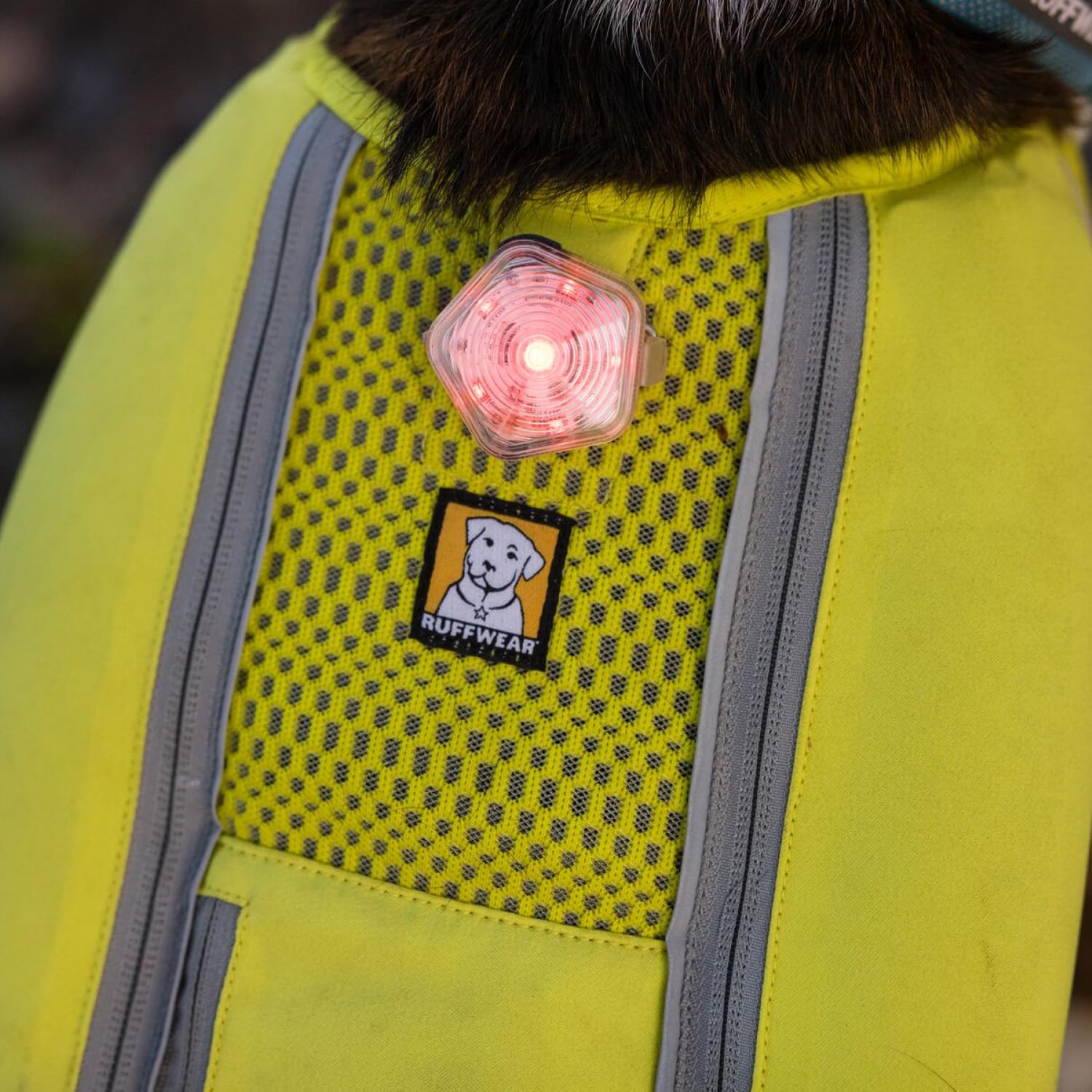 Ruffwear Beacon permite identificar cada perro por color en grupos.