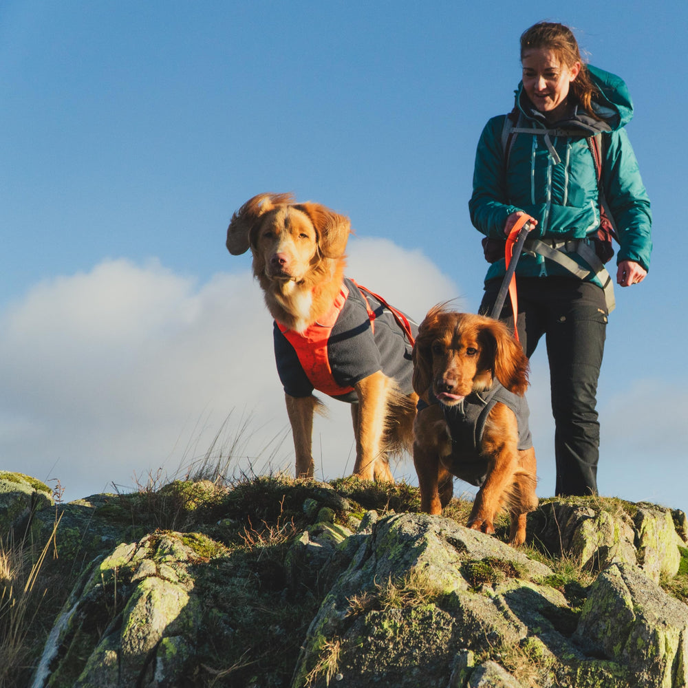 Uso versátil en ciudad y senderos fríos con el chaleco Ruffwear.