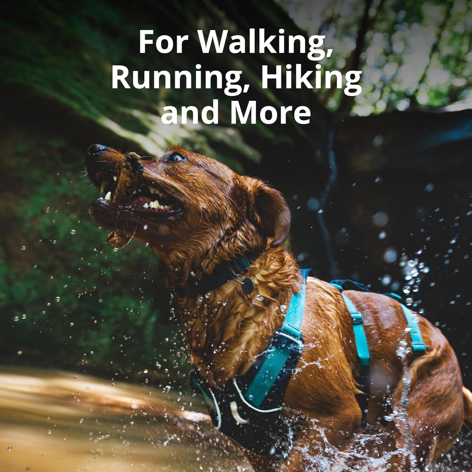 Ruffwear Flagline con tres puntos de correa para control durante paseos