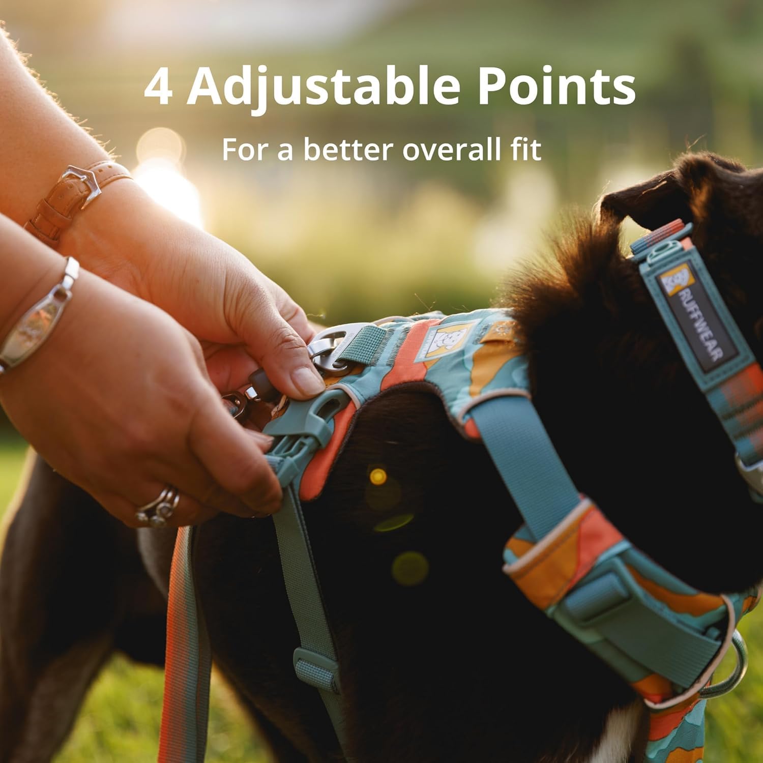 Ruffwear Front Range: cómodo para paseos diarios gracias al acolchado y ajuste