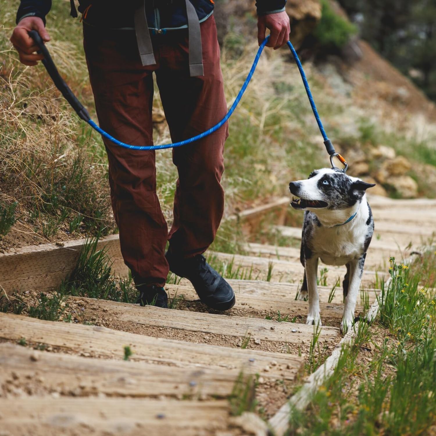 Knot‑a‑Leash tamaño grande para perros grandes y activos.