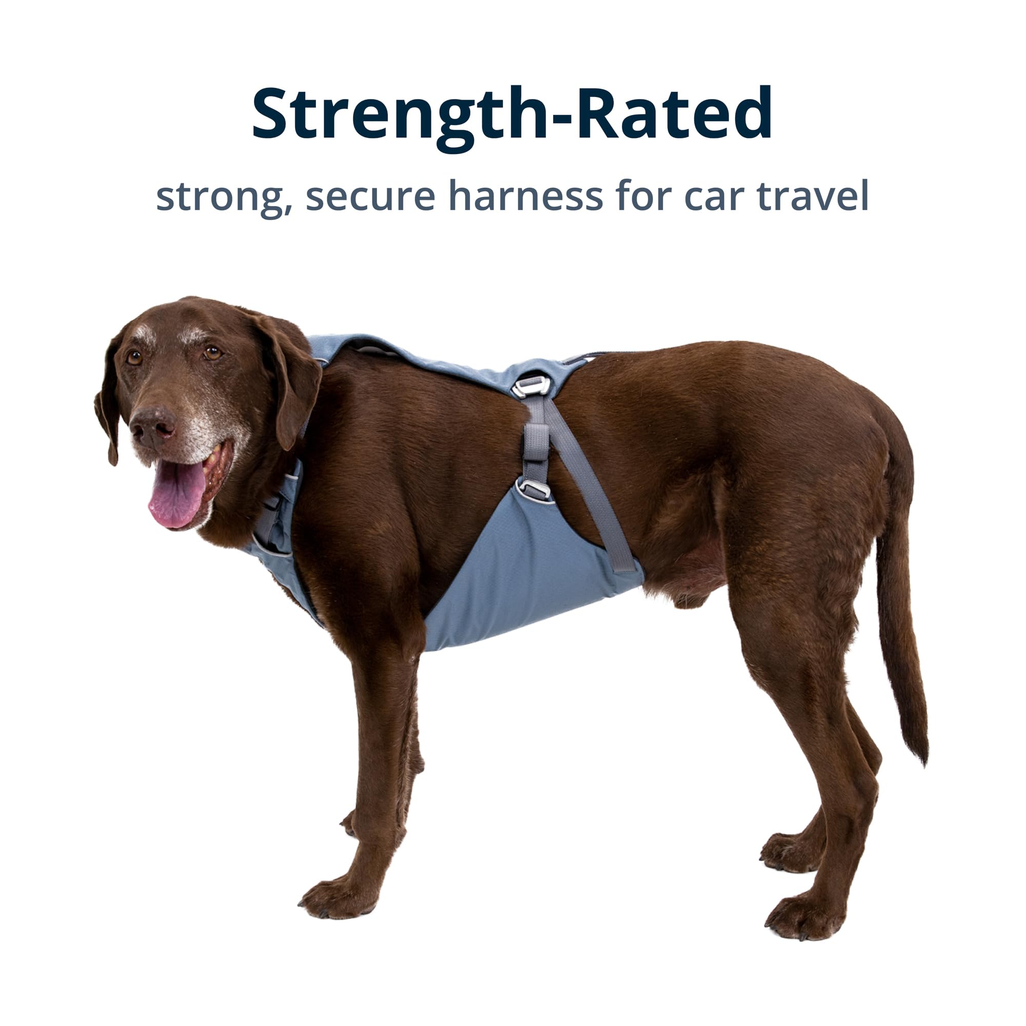 Ruffwear Load Up: acolchado denso para soporte durante trayectos largos.