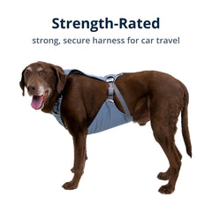Ruffwear Load Up: acolchado denso para soporte durante trayectos largos.