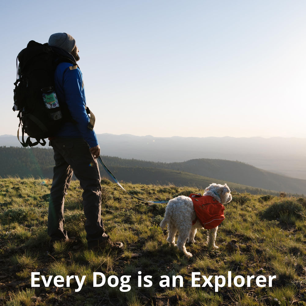 Ruffwear Load Up: durabilidad para uso diario y viajes por carretera.