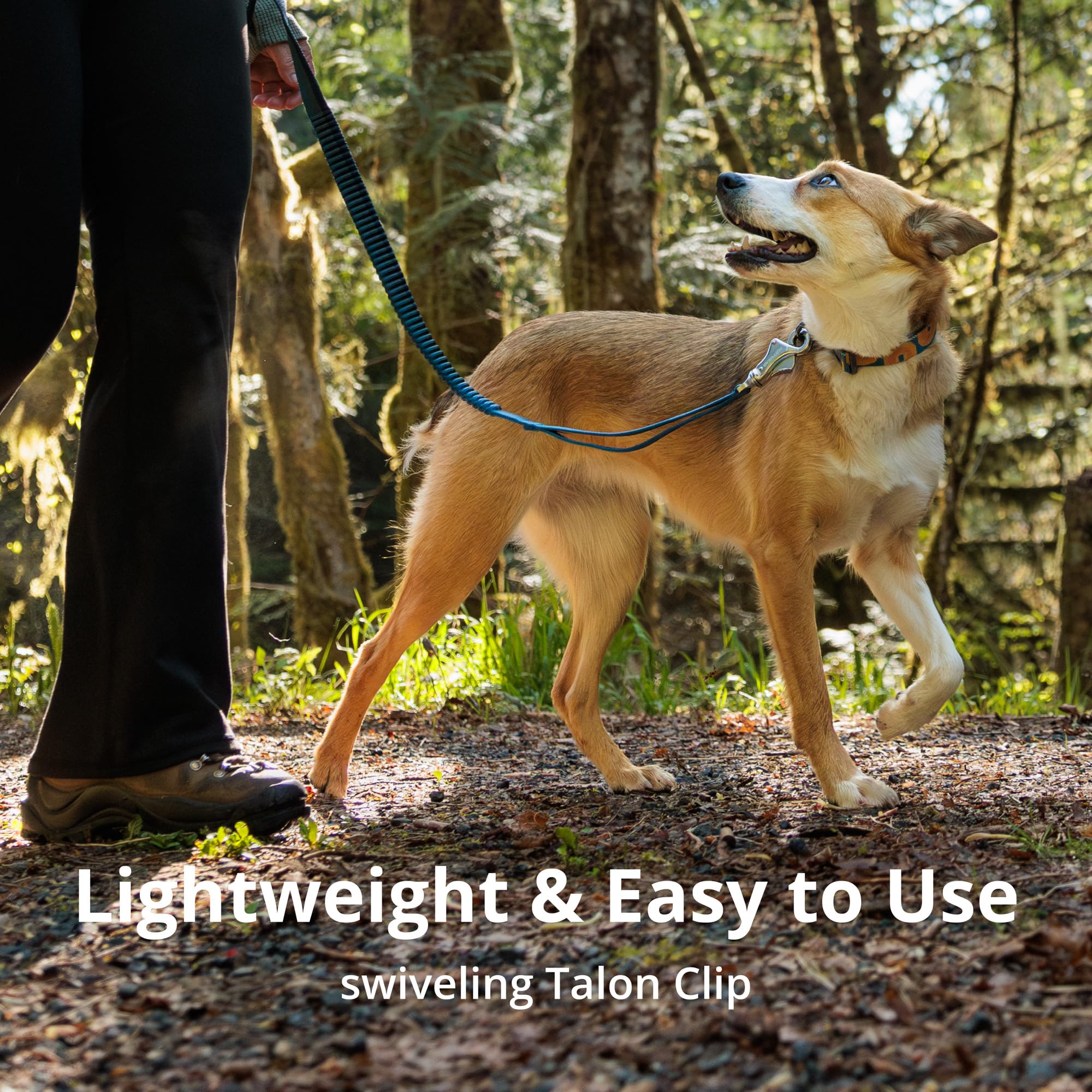 Ruffwear Roamer Bungee, bucle de aluminio Uniloop para fijaciones fiables