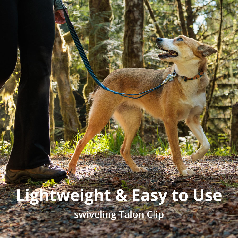 Ruffwear Roamer Bungee, bucle de aluminio Uniloop para fijaciones fiables