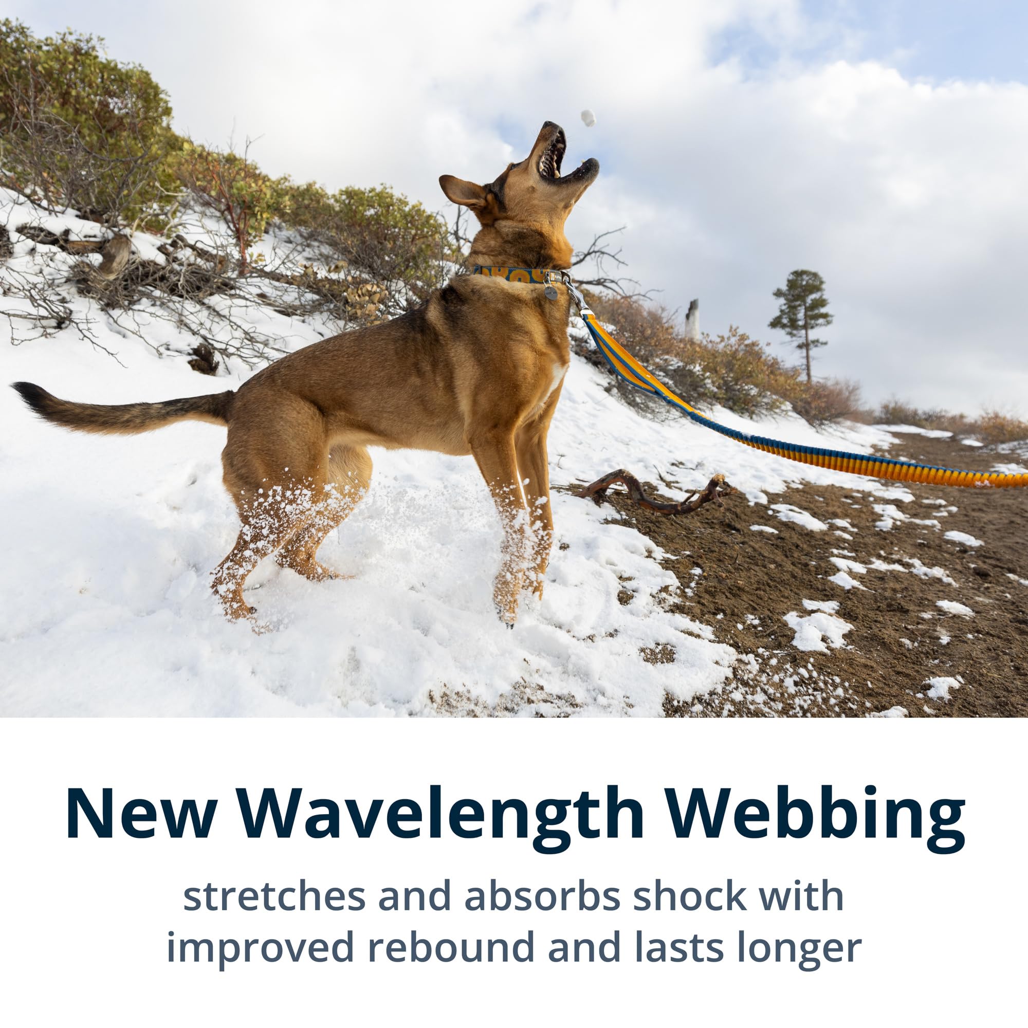 Ruffwear Roamer Bungee: uso manos libres para paseos cómodos