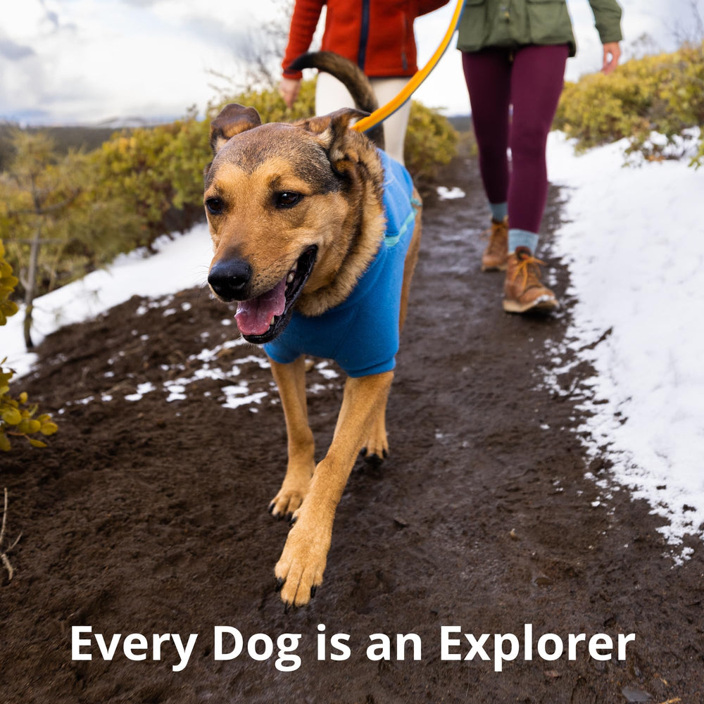 Ruffwear Roamer Bungee: uso manos libres y cintura para mayor versatilidad