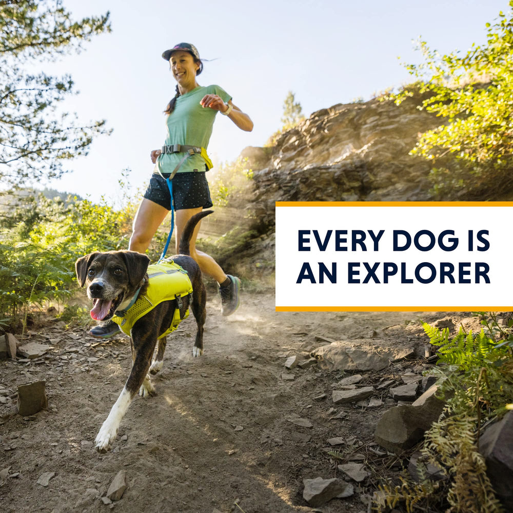 Ruffwear Trail Runner color-azul-piscina, destaca en senderos y aventuras