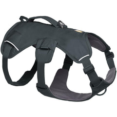 Ruffwear Web Master con manija de elevación reforzada para apoyo estable al levantar