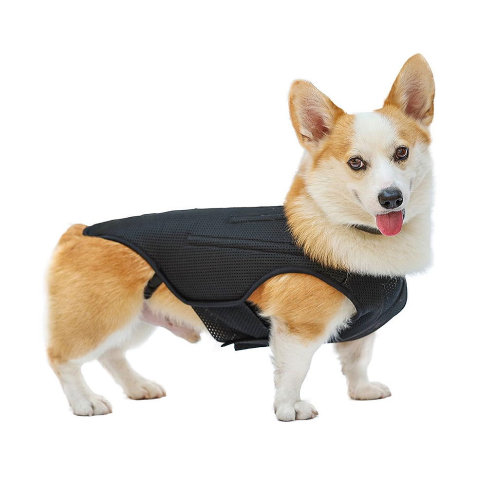 Apto para recuperación tras cirugía o manejo de molestias en la espalda.